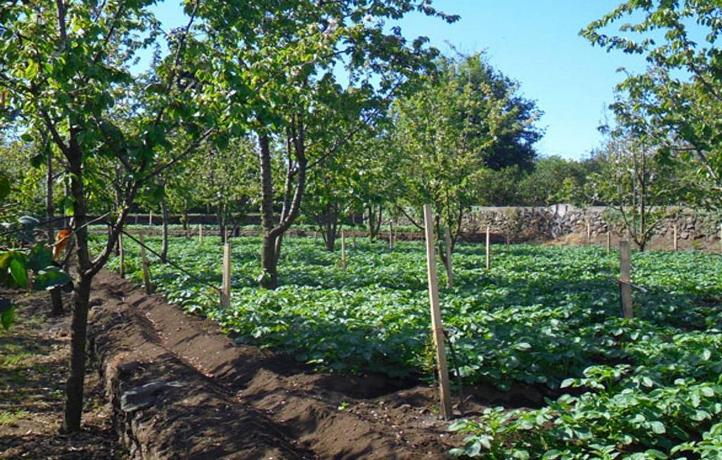 Baglio Delle Rose Bed and Breakfast Giarre Buitenkant foto