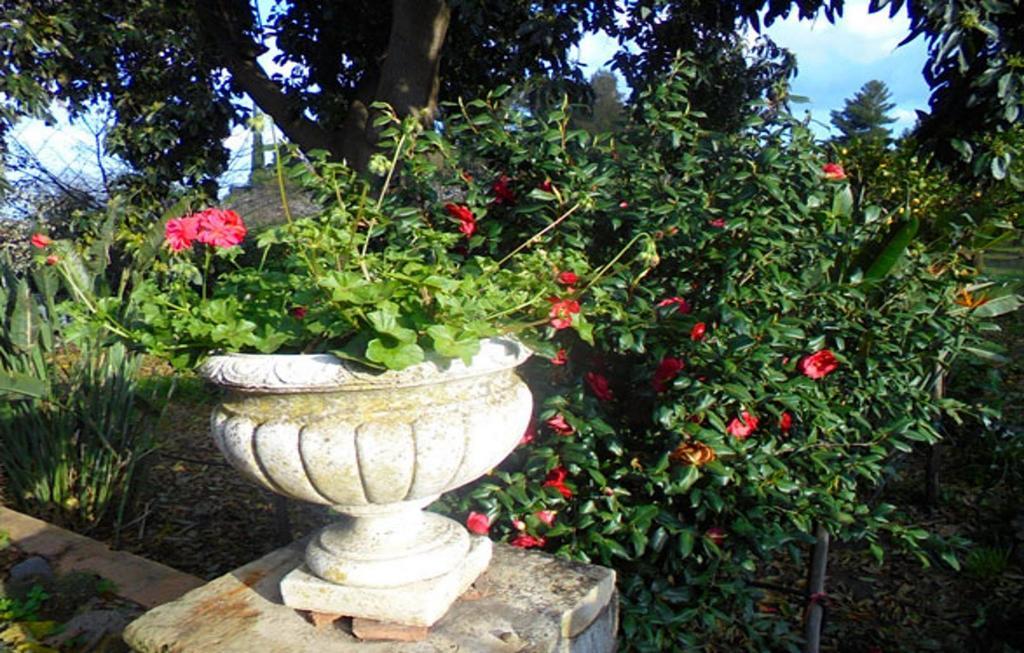 Baglio Delle Rose Bed and Breakfast Giarre Buitenkant foto