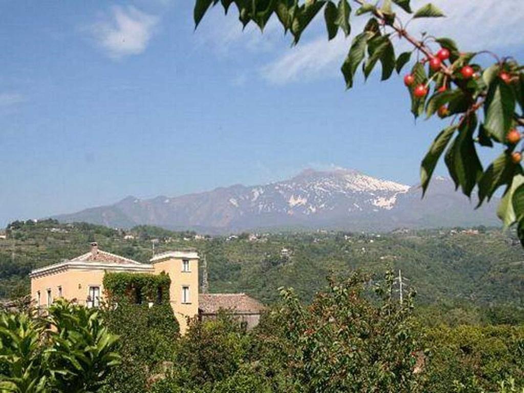 Baglio Delle Rose Bed and Breakfast Giarre Buitenkant foto
