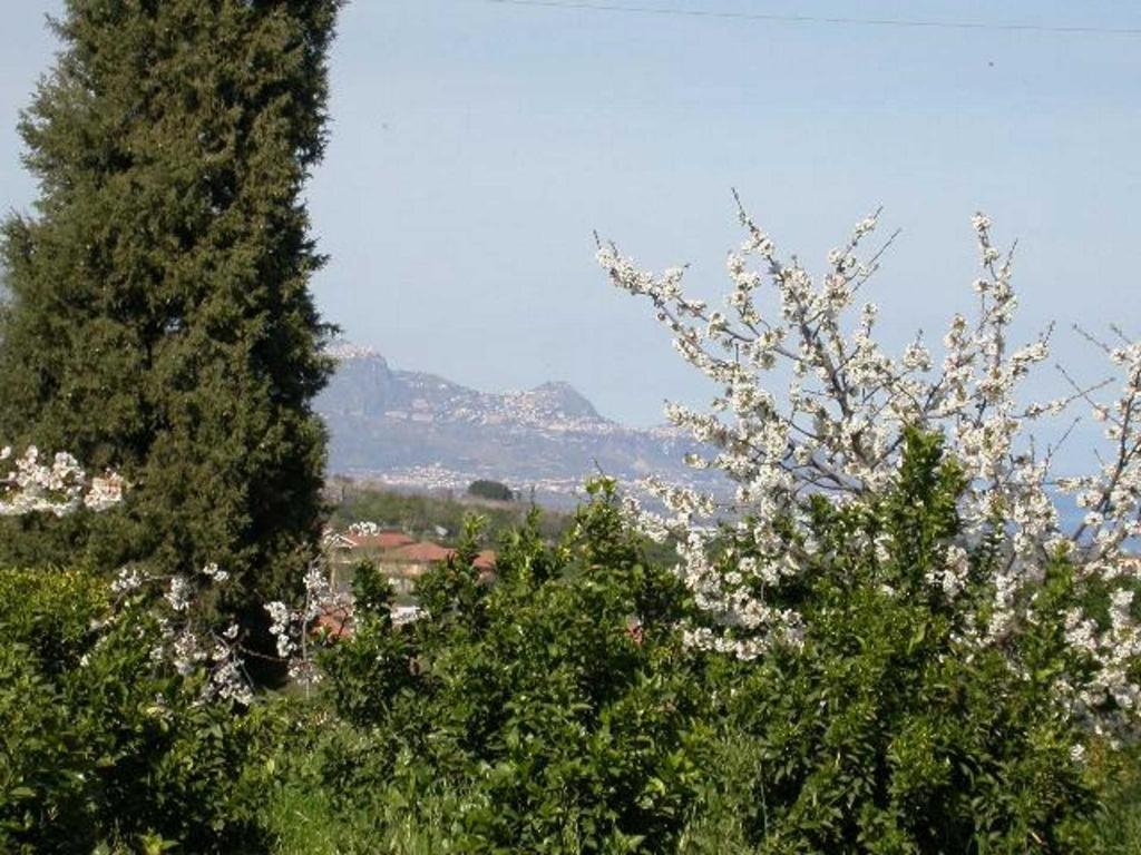 Baglio Delle Rose Bed and Breakfast Giarre Buitenkant foto