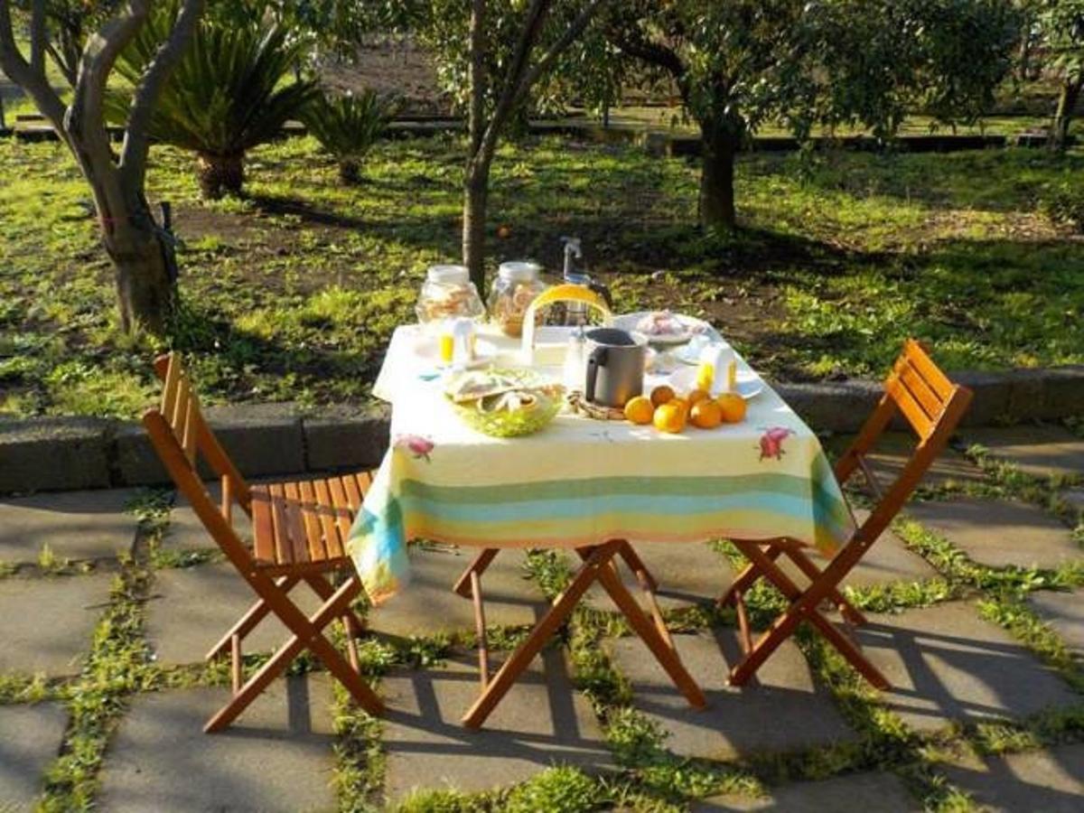 Baglio Delle Rose Bed and Breakfast Giarre Buitenkant foto